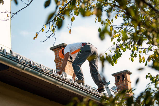 Best Residential Roofing Contractor  in Bellevue, IA