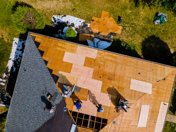 Best Emergency Roof Repair  in Bellevue, IA