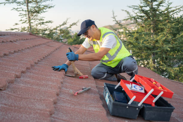 Best Commercial Roofing Services  in Bellevue, IA