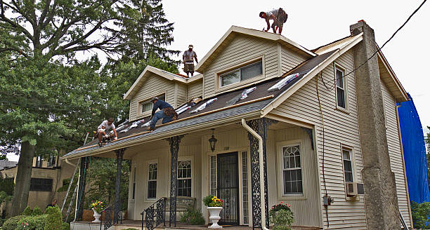 Best Best Roofing Contractors  in Bellevue, IA