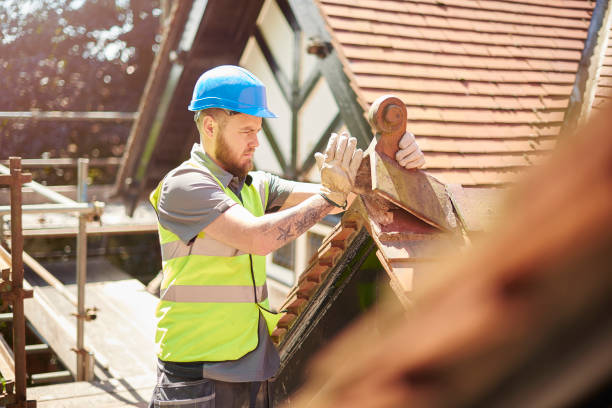 Best Flat Roof Repair Services  in Bellevue, IA
