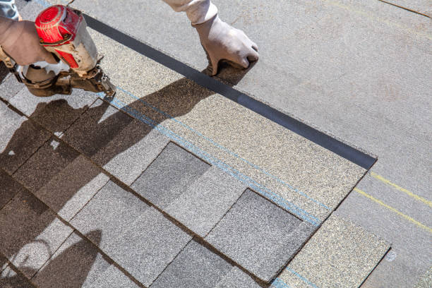 Best Roof Leak Repair  in Bellevue, IA